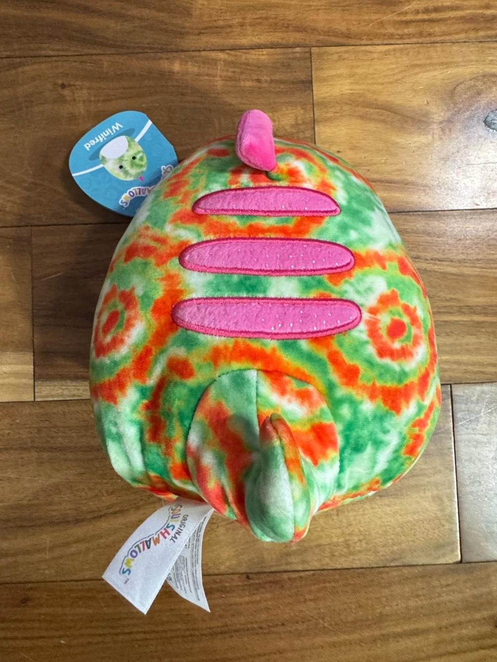 Squishmallow! Winifred the Gecko - Picture 2 of 4